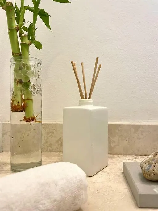 Coco Luxury Loft Apartment Cancun Mexico